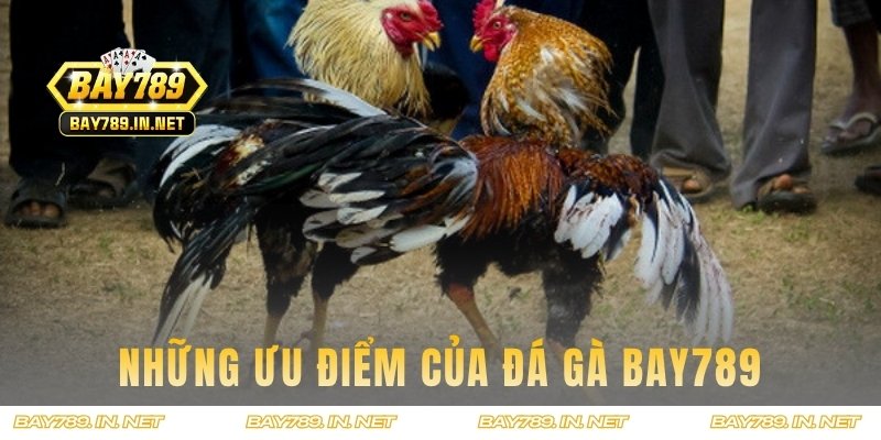 Những ưu điểm của sảnh cược này